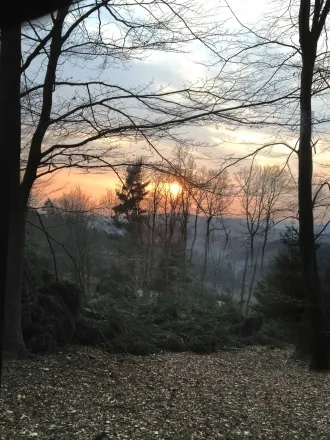 Leider keine Bildbeschreibung für original_2223.jpg vorhanden.